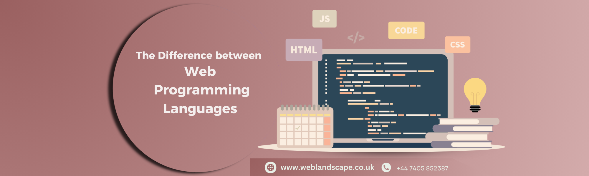 The Difference between Web Programming Languages